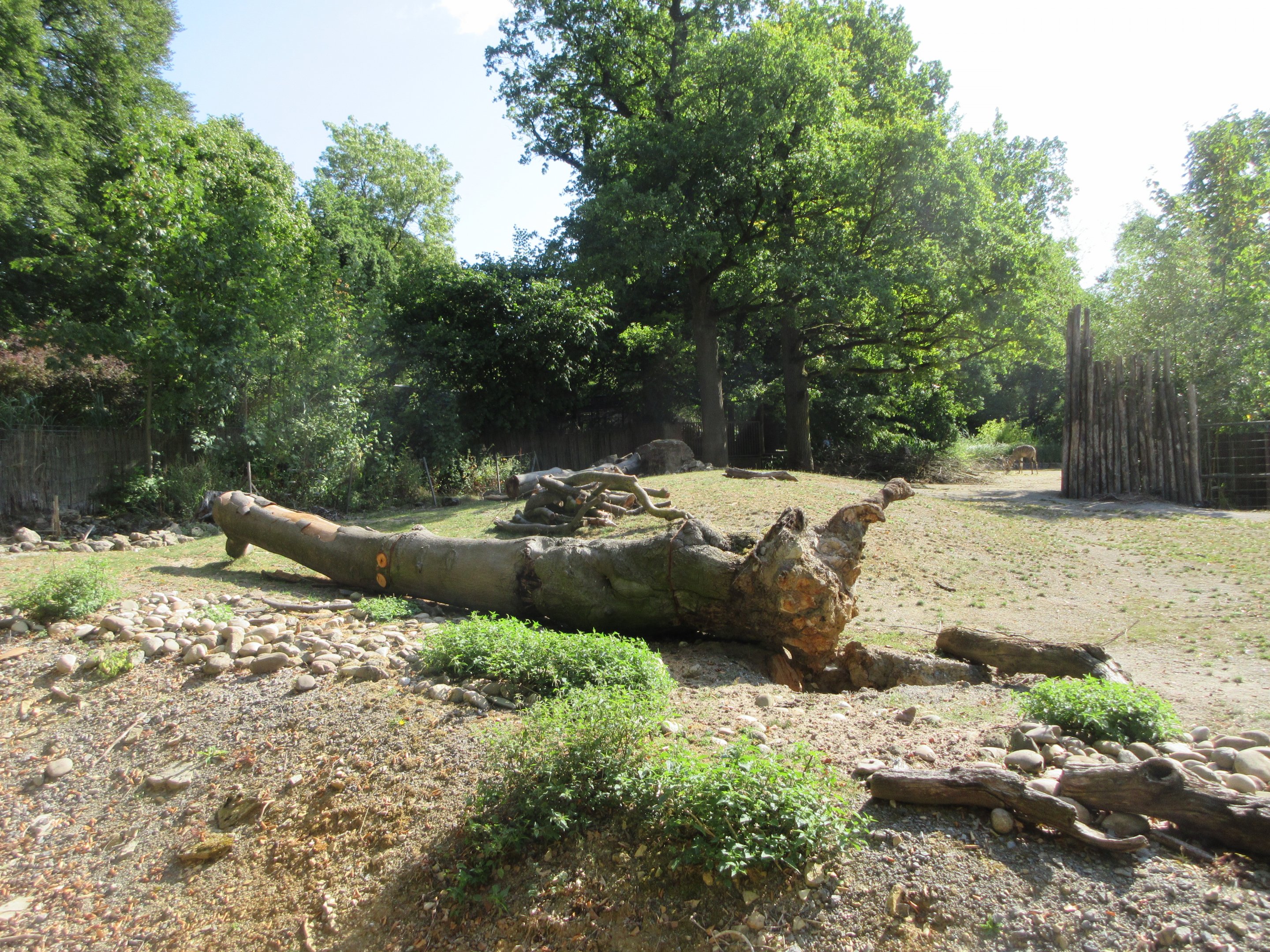 Lesser Kudu/Blue Crane Exhibit