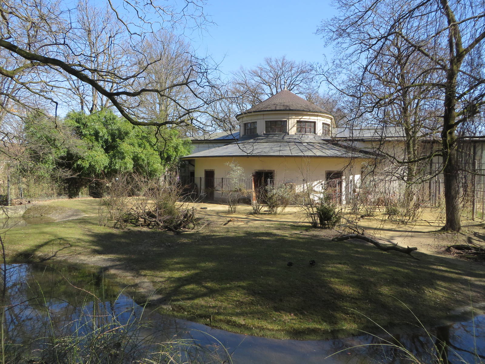 Lesser kudu enclosure
