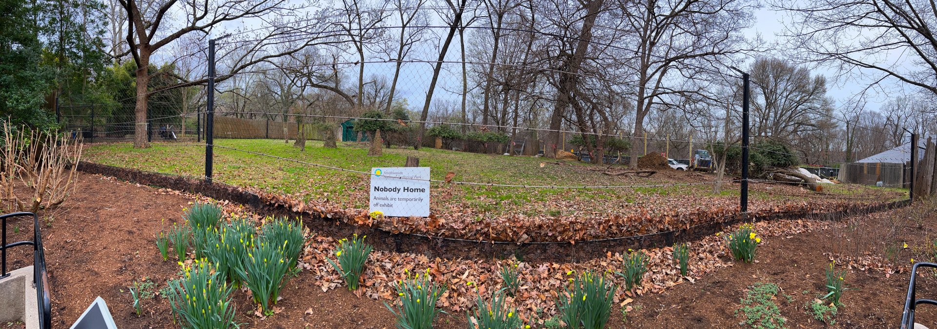 Lesser Kudu Exhibit (Undergoing Renovation)