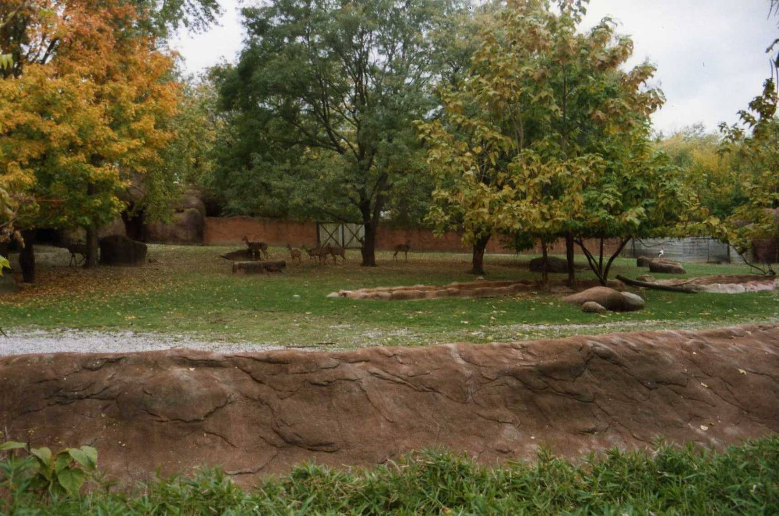 Lesser Kudu Exhibit