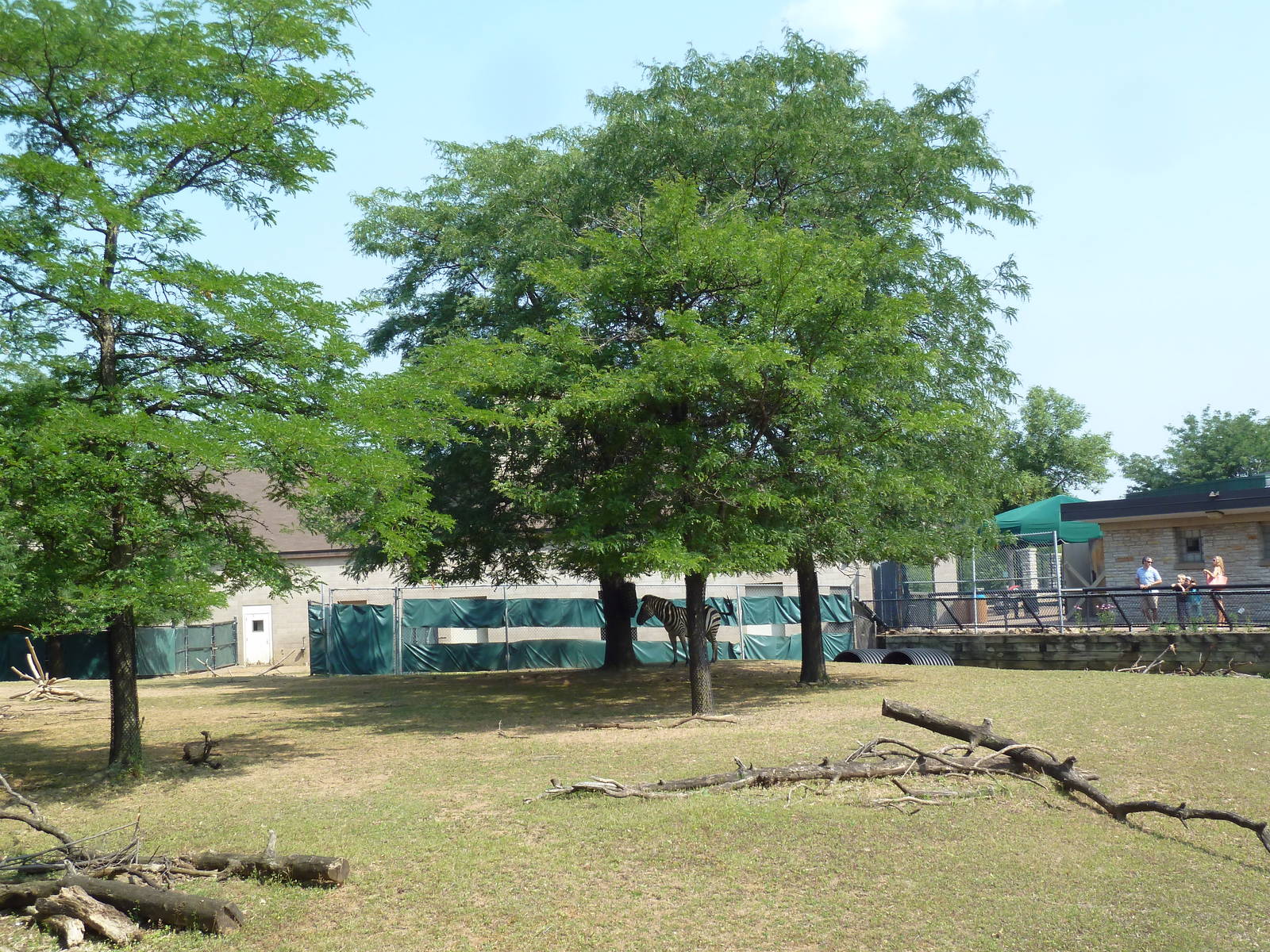 Lesser Kudu/Grant's Zebra Exhibit