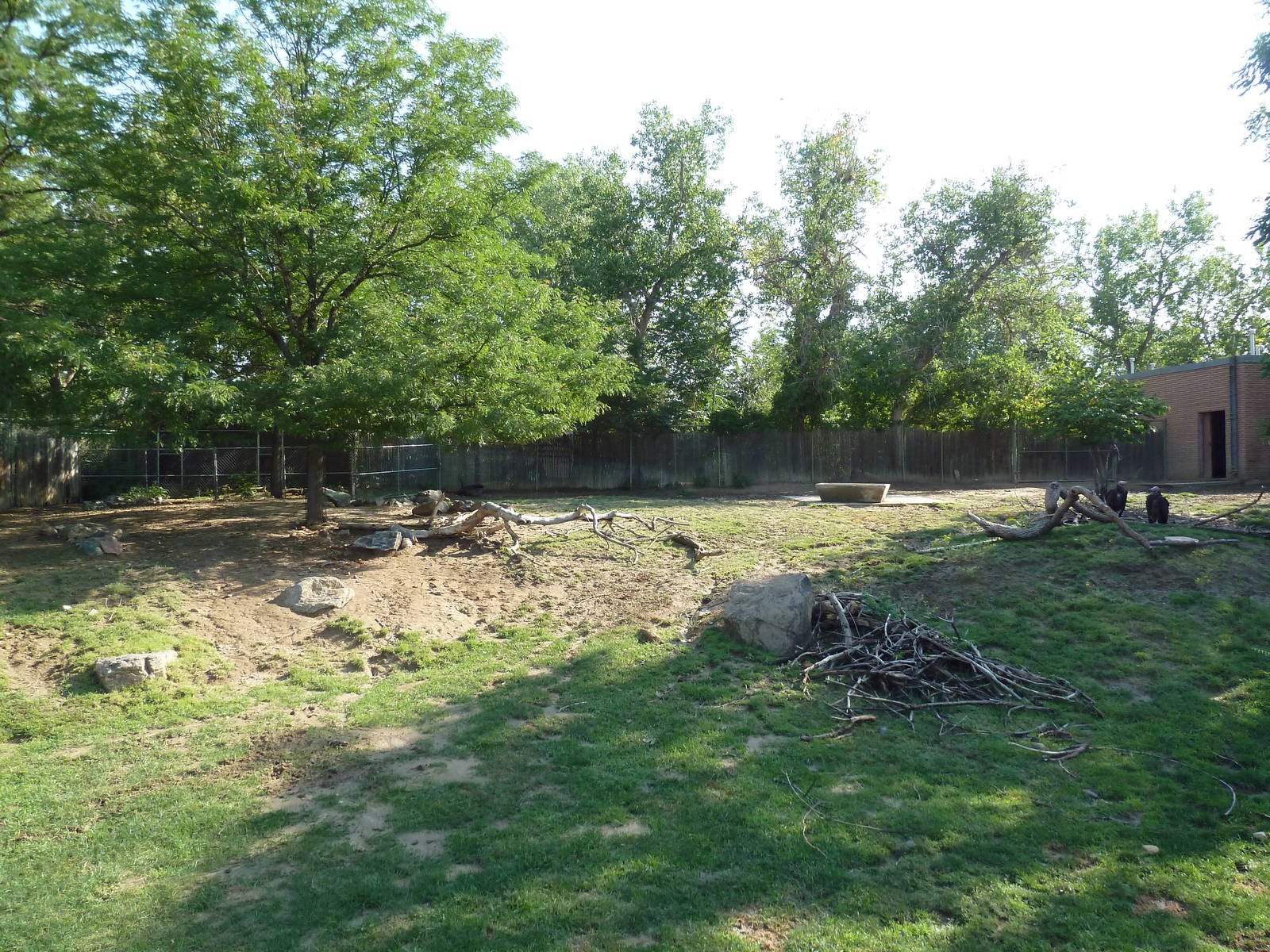 Lesser Kudu/Lappet-Faced Vulture Exhibit
