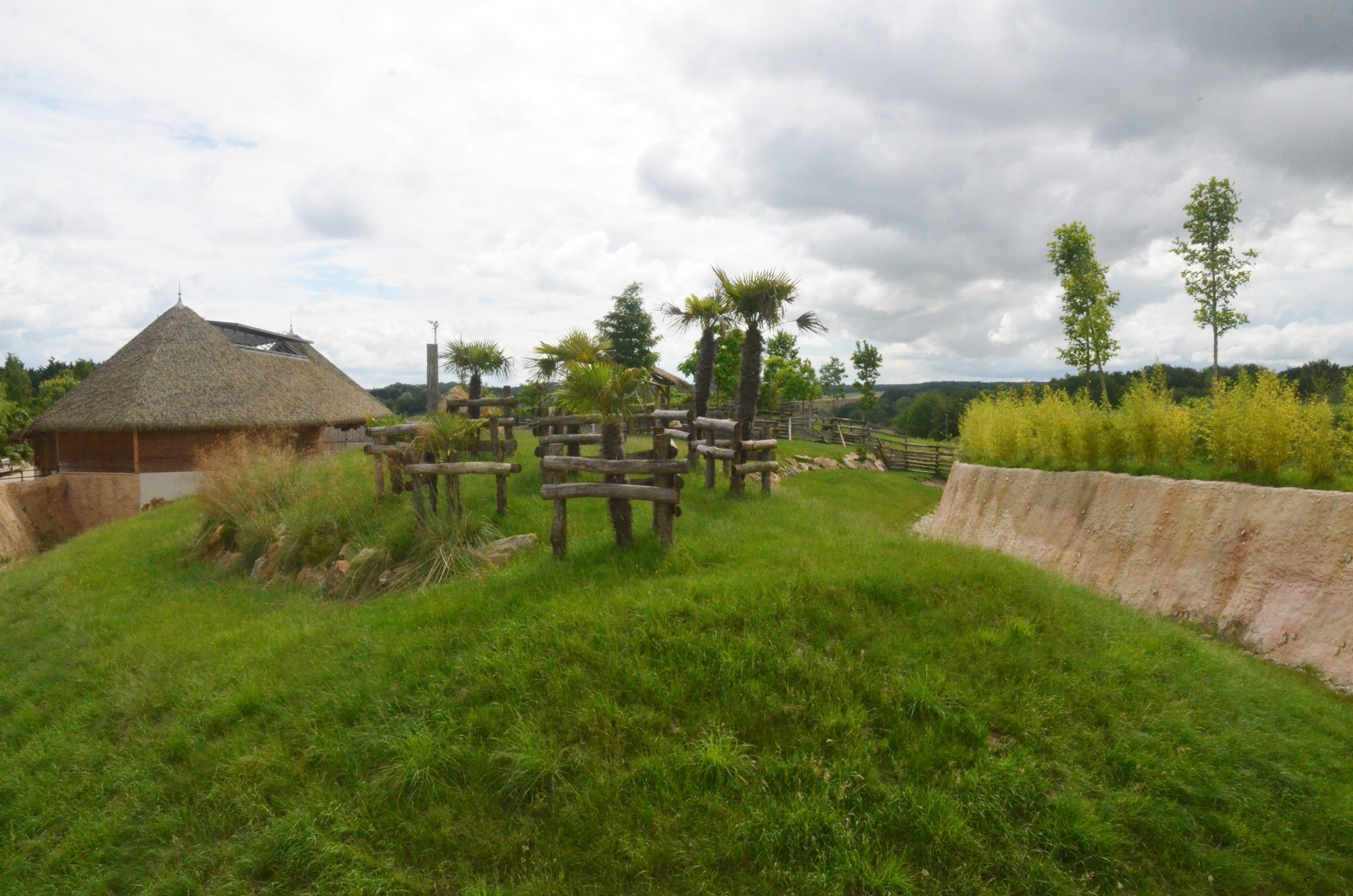 Lesser Kudu Paddock at Beauval, 12/06/18