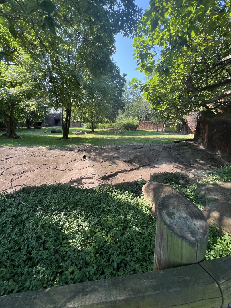 Lesser Kudu/Saddle-Billed Stork Exhibit
