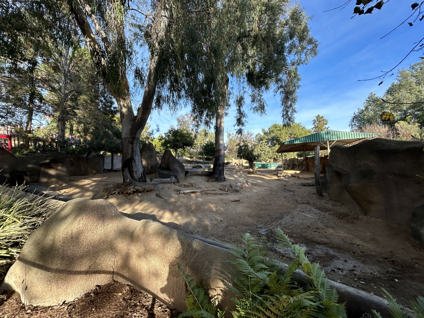 Lesser Kudu & Speke’s Gazelle Exhibit