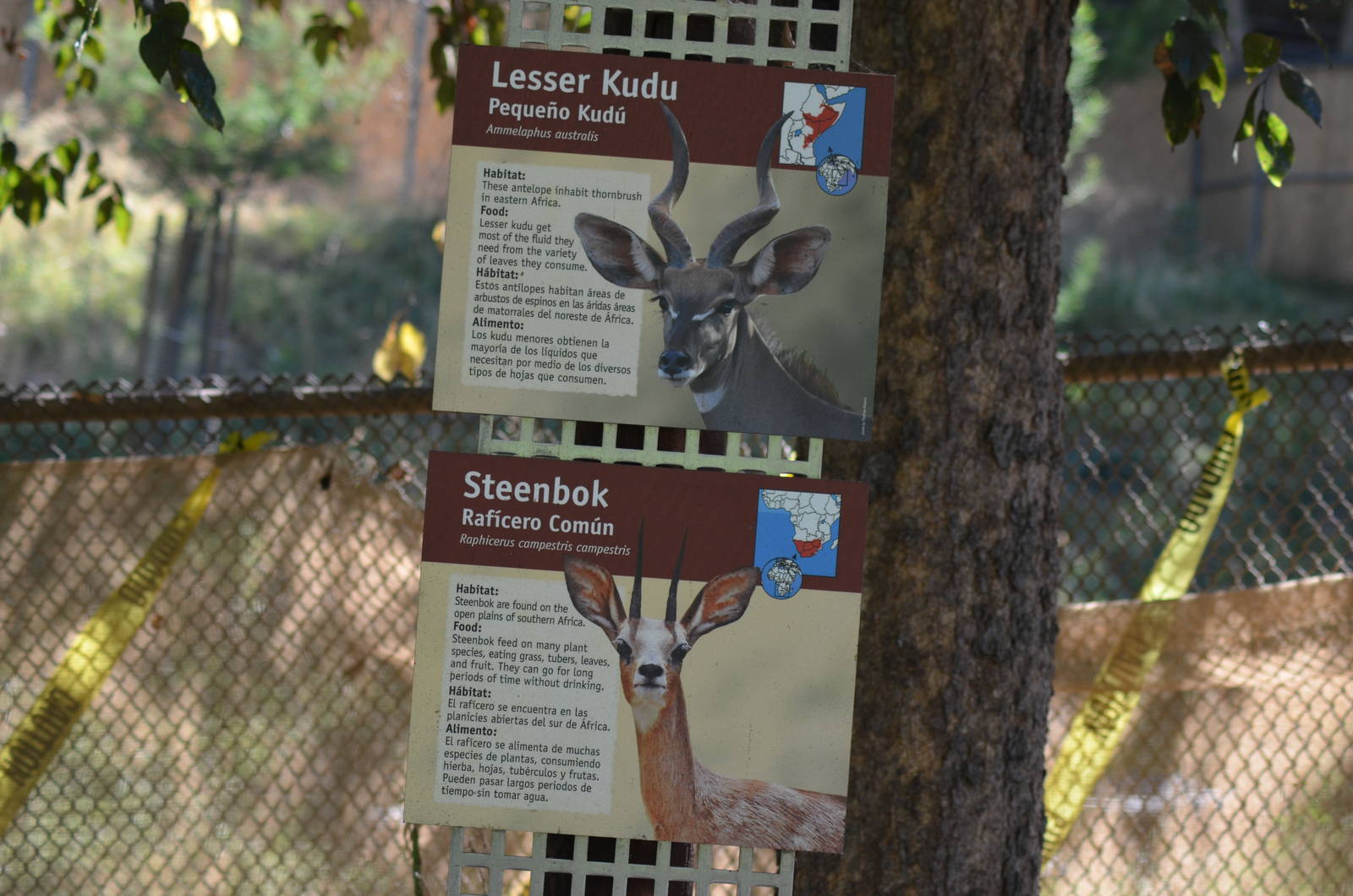 Lesser Kudu/Steenbok Signage