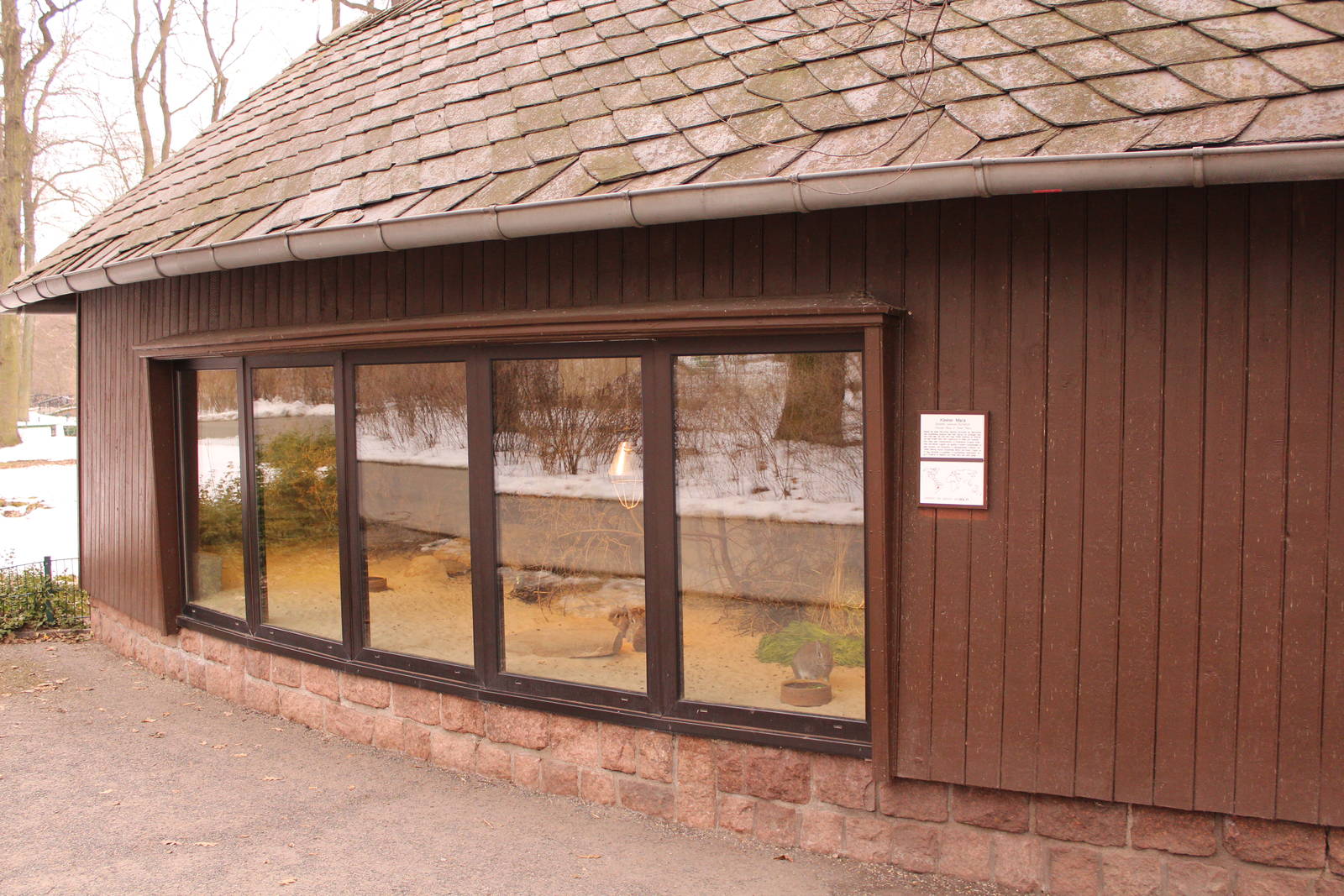 Lesser mara house, April 2013