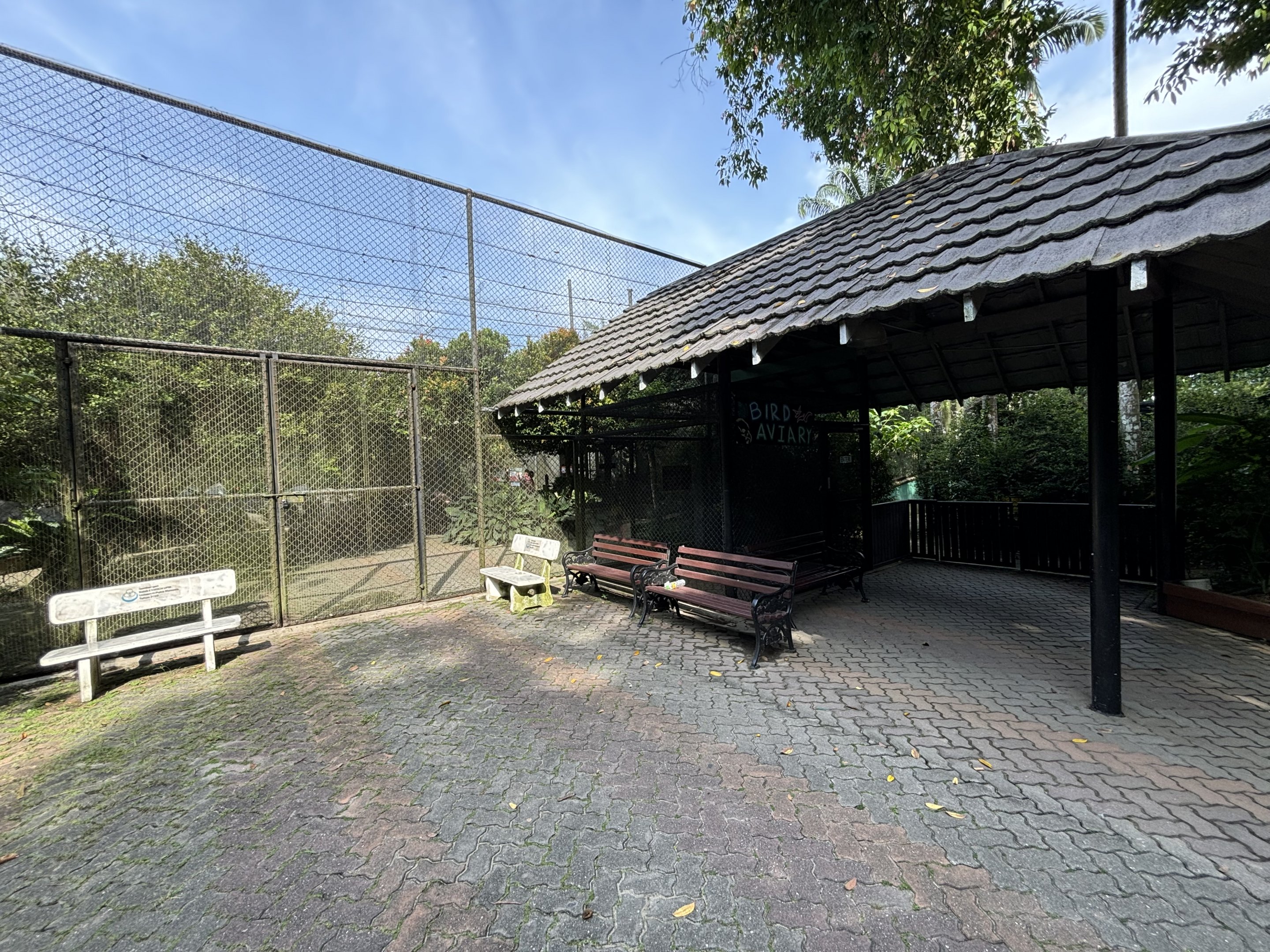 Lesser Mouse-deer/Crestless Fireback/Common Myna/Emerald Dove Exhibit