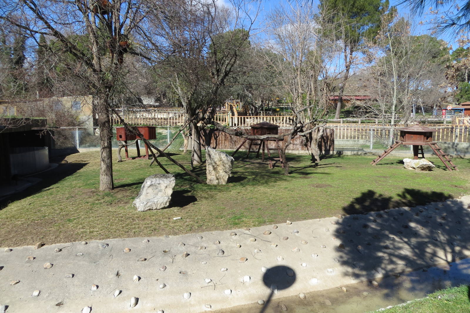 Lesser Panda enclosure 150216