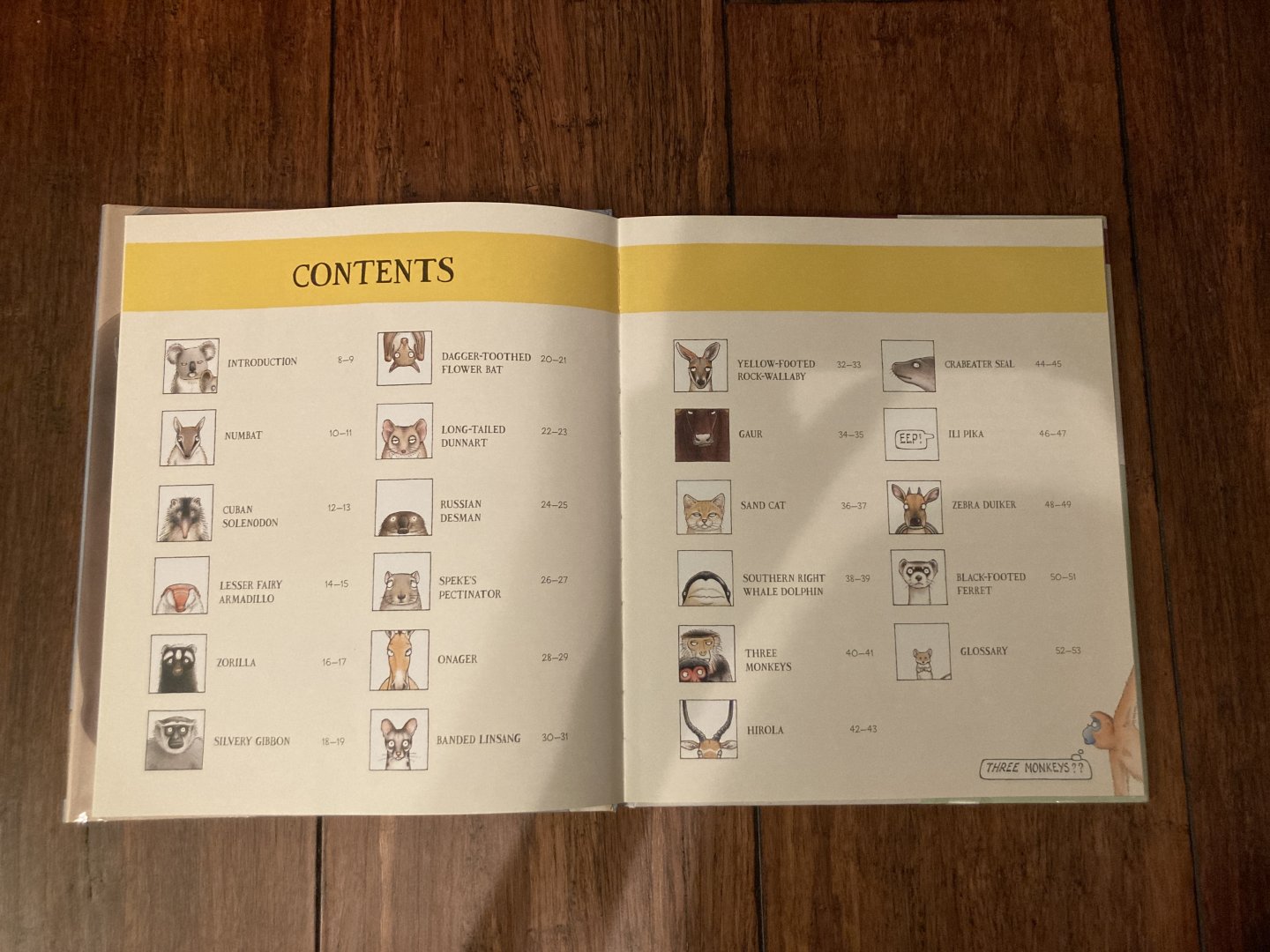 Lesser Spotted Animals