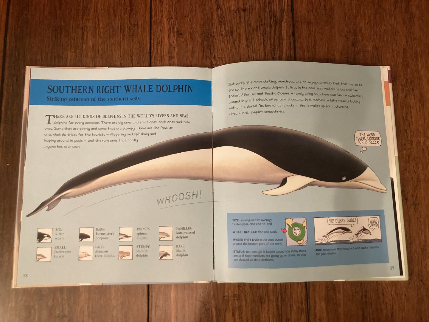 Lesser Spotted Animals