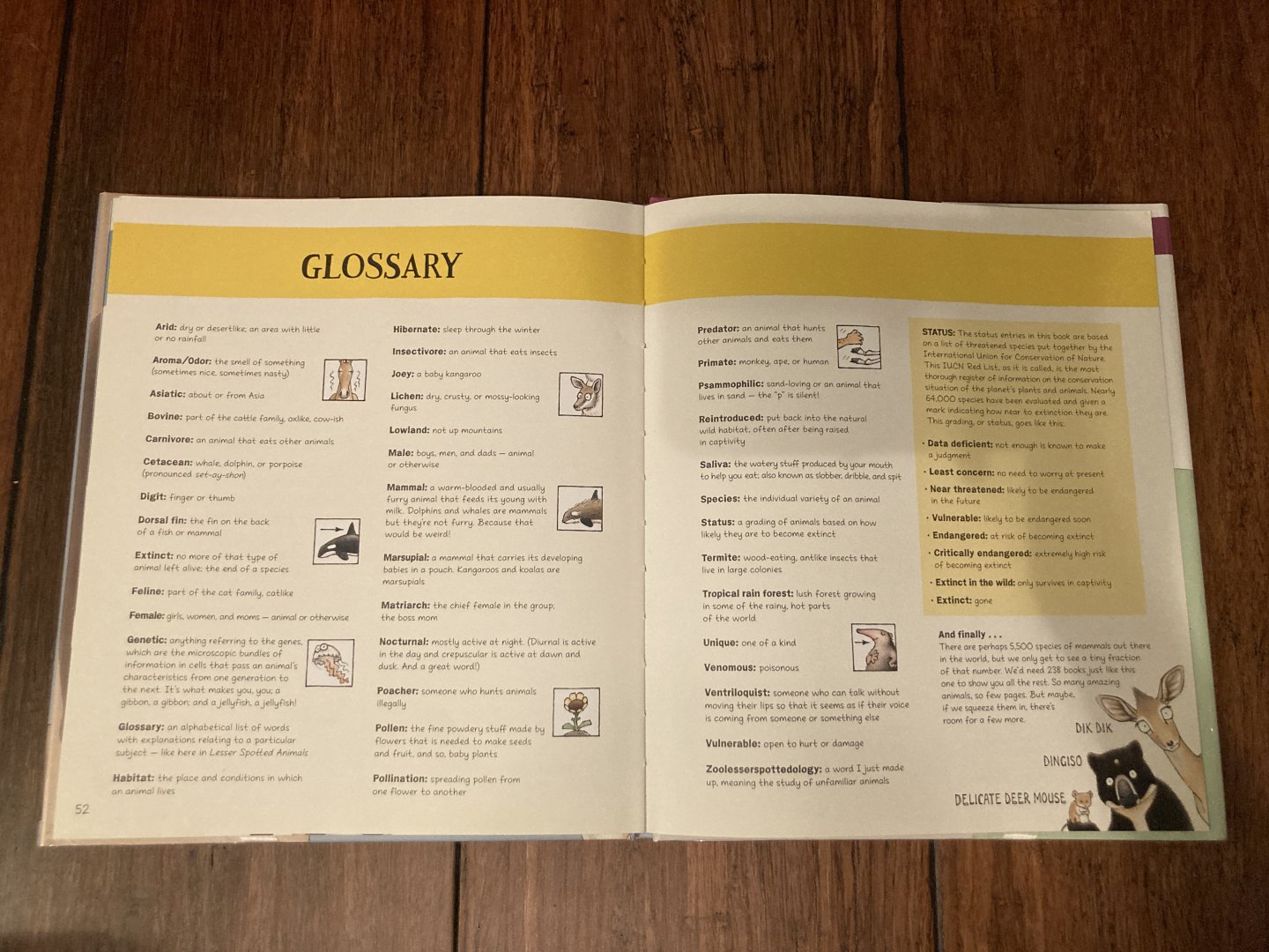 Lesser Spotted Animals