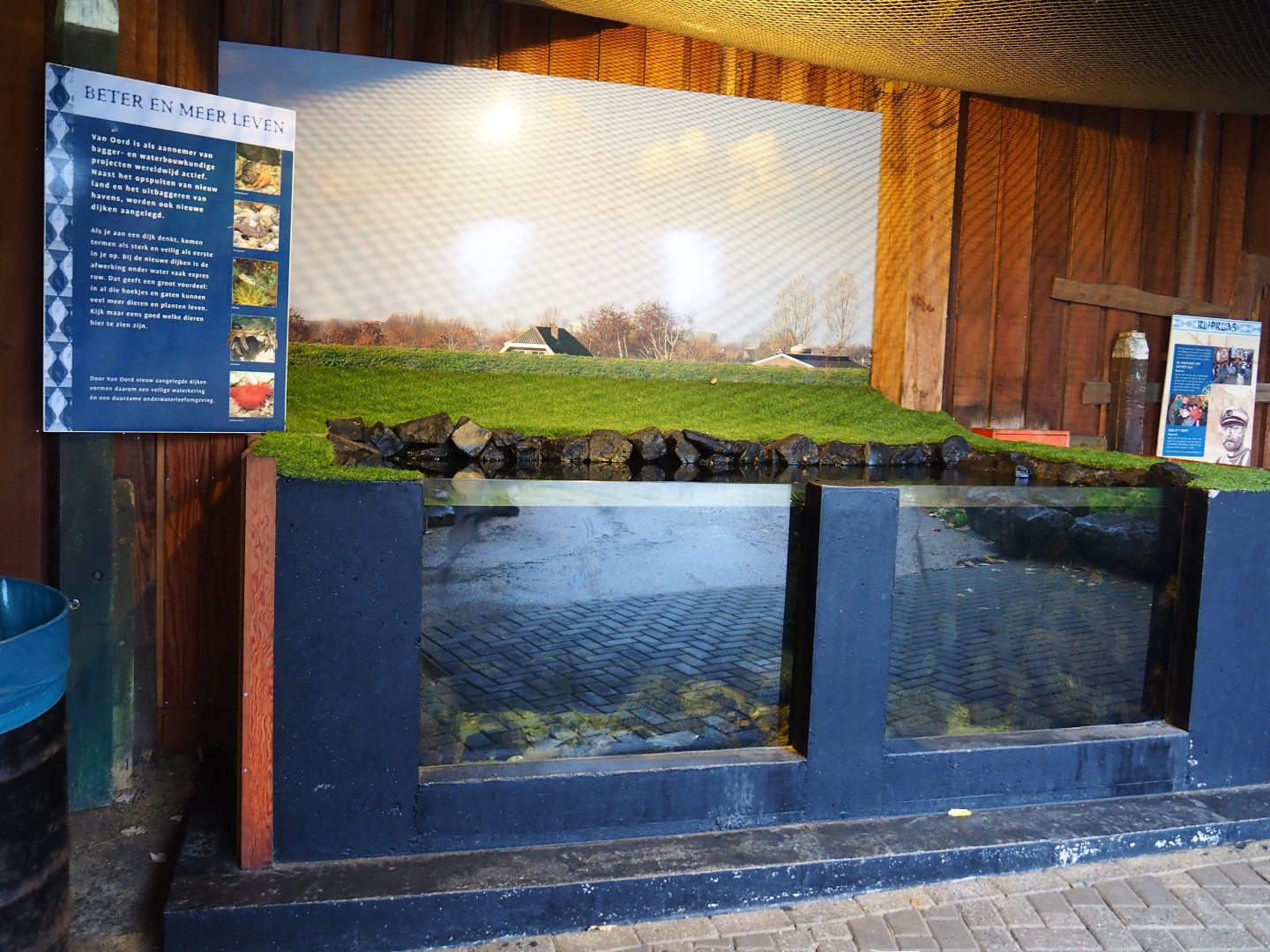 Levee-side outdoor aquarium (Nov 10th, 2018)