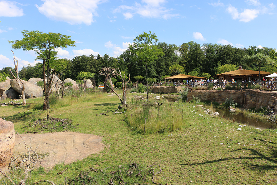 Lewa center viewpoint