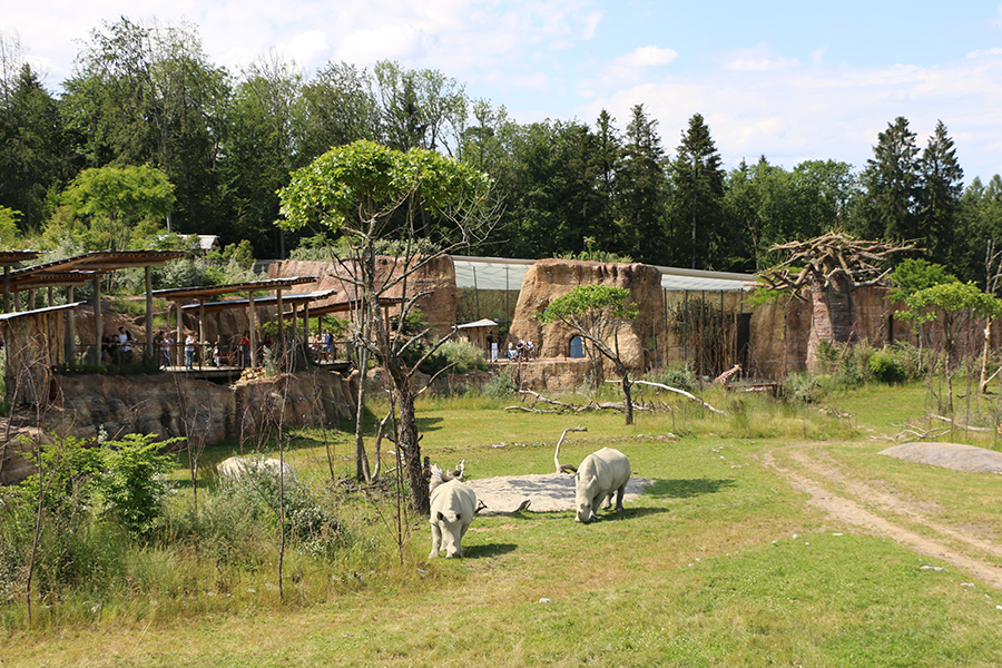 Lewa center viewpoint