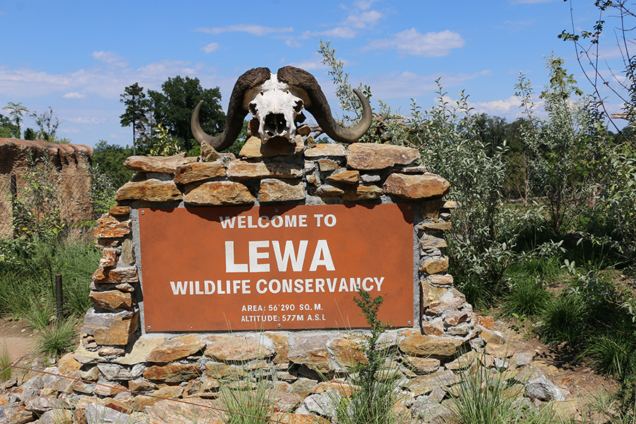 Lewa entrance