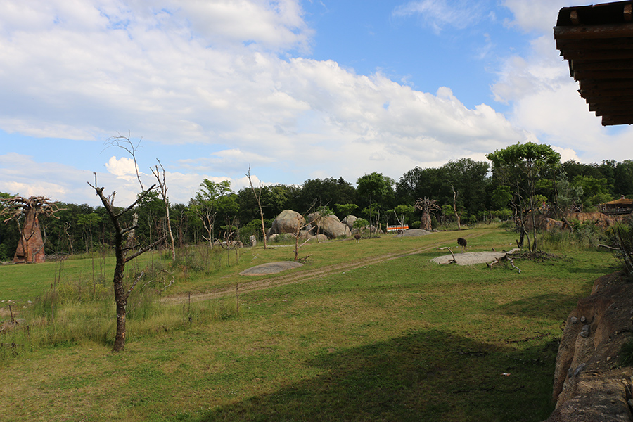 Lewa main enclosure