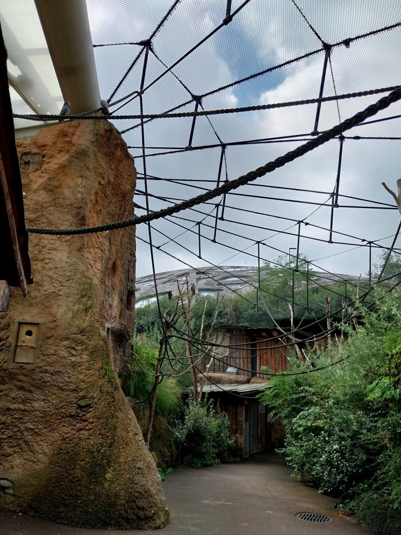 Lewa savanna - African grey parrot aviary