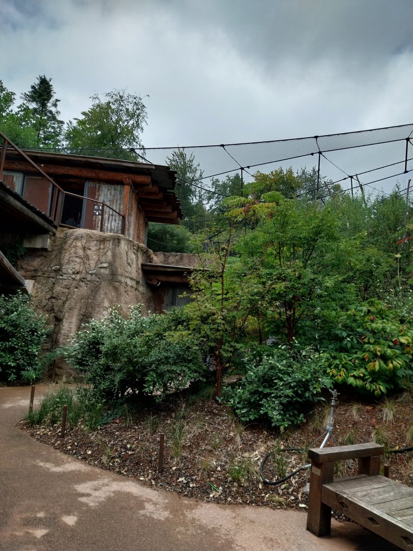 Lewa savanna - African grey parrot aviary