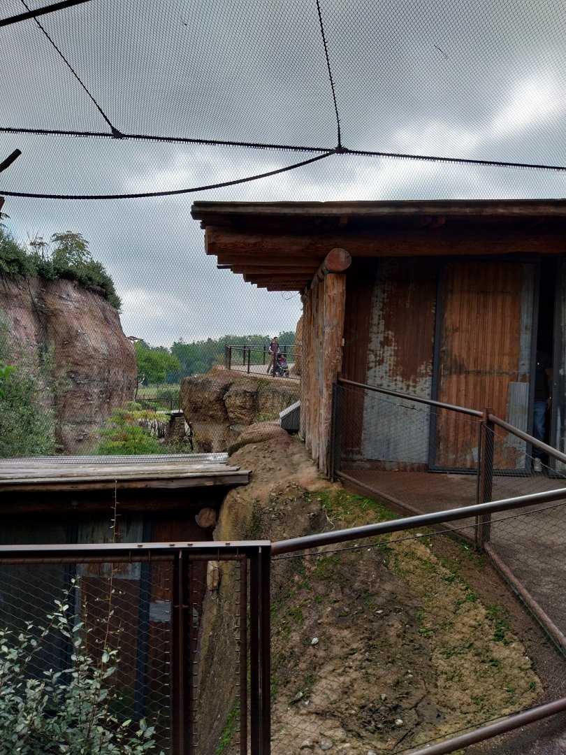 Lewa savanna - African grey parrot aviary