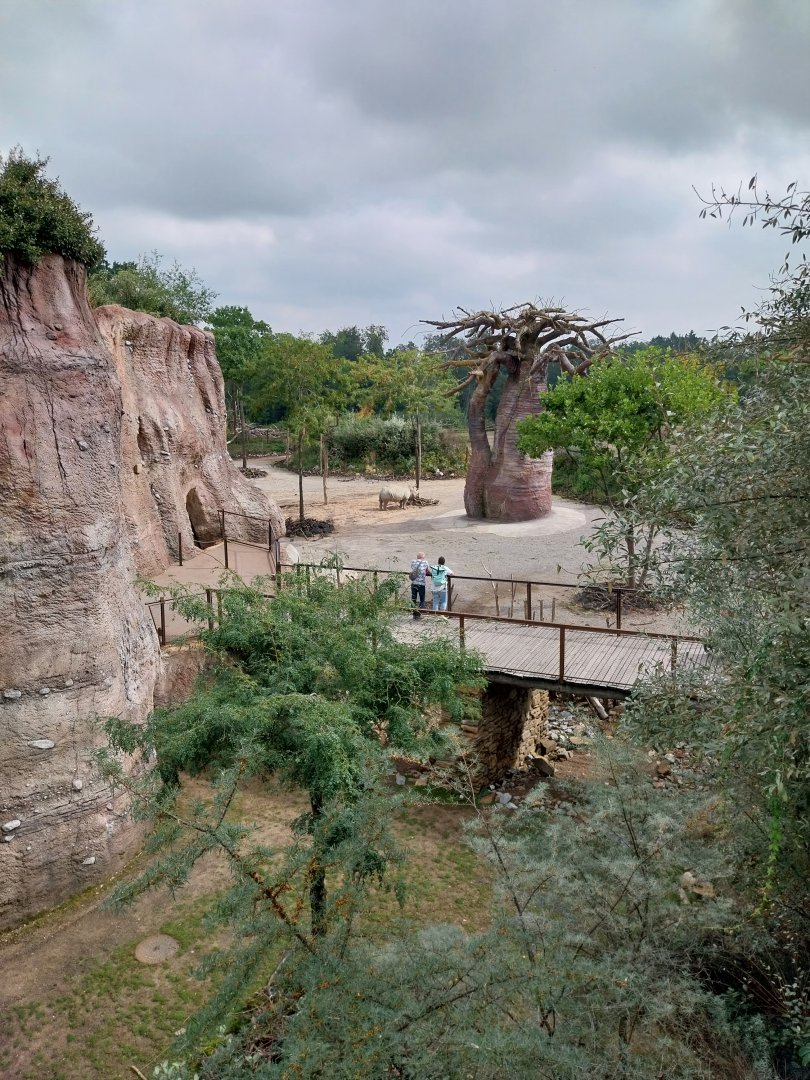 Lewa savanna - African grey parrot aviary