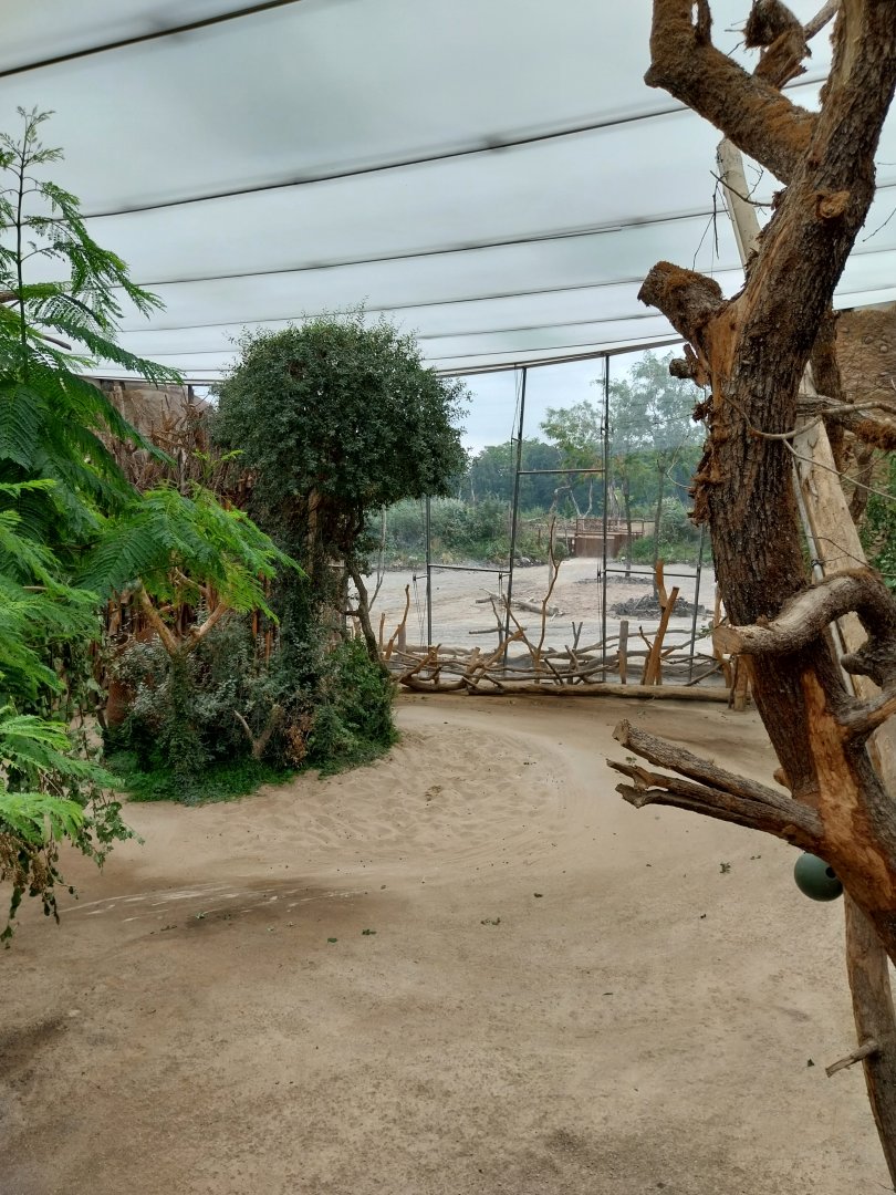 Lewa savanna - Giraffe and rhino building