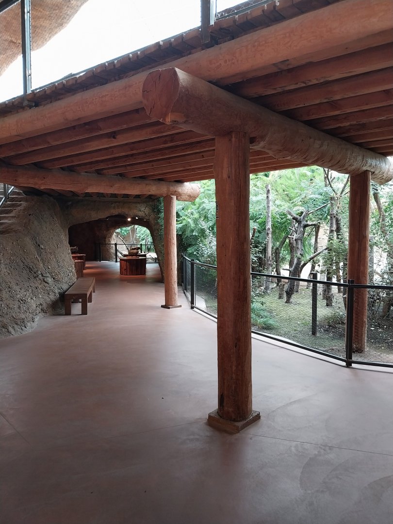 Lewa savanna - Giraffe and rhino building