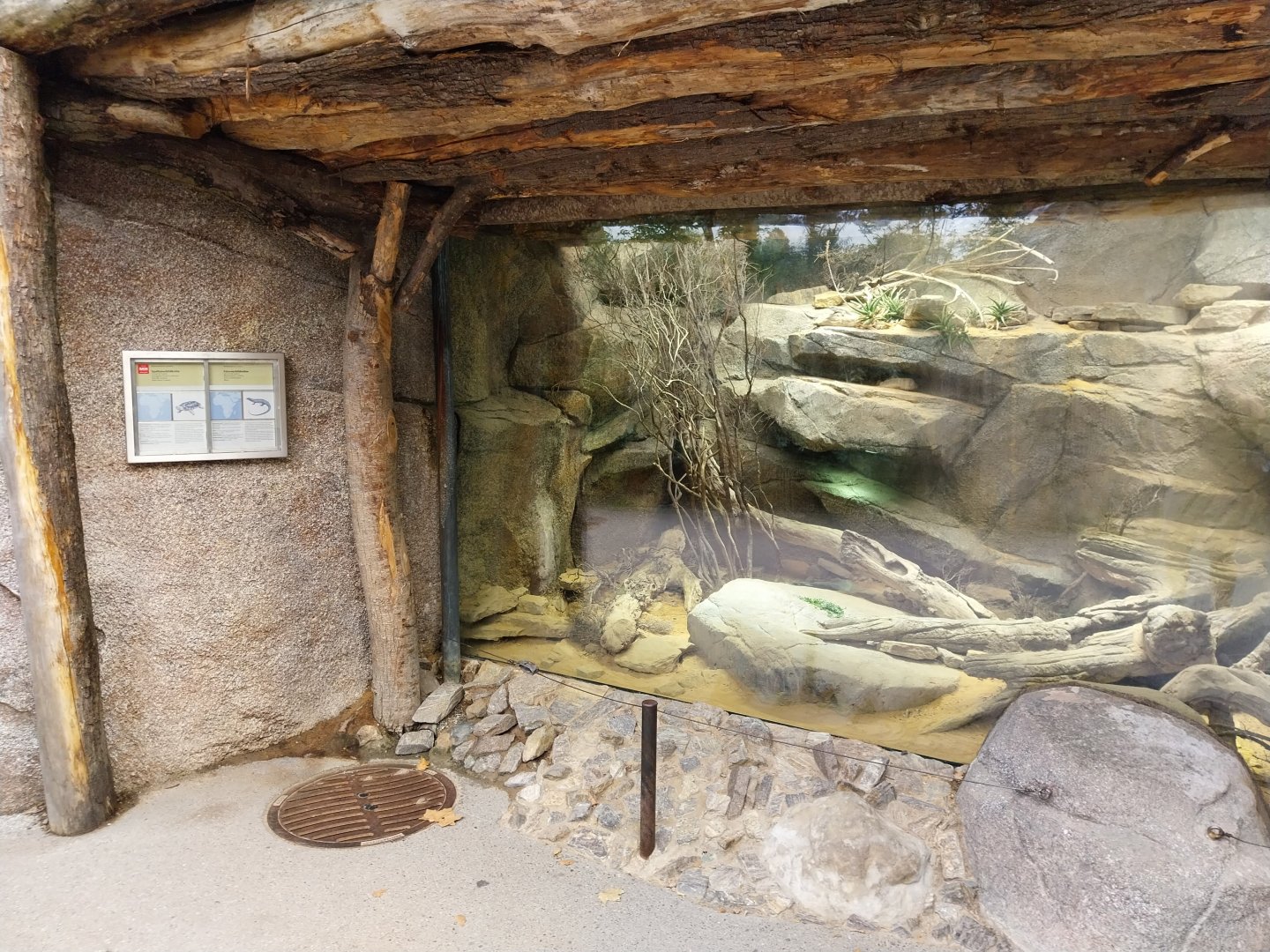 Lewa savanna - Kopje exhibit - Terrarium