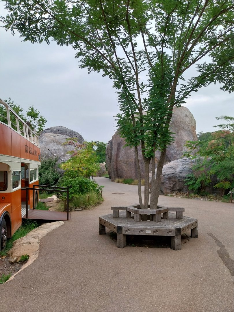 Lewa savanna - Kopje exhibit