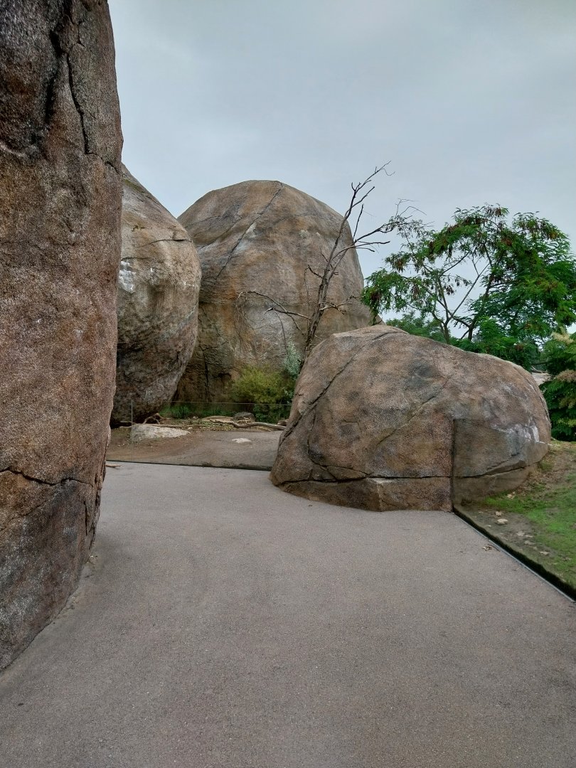 Lewa savanna - Kopje exhibit