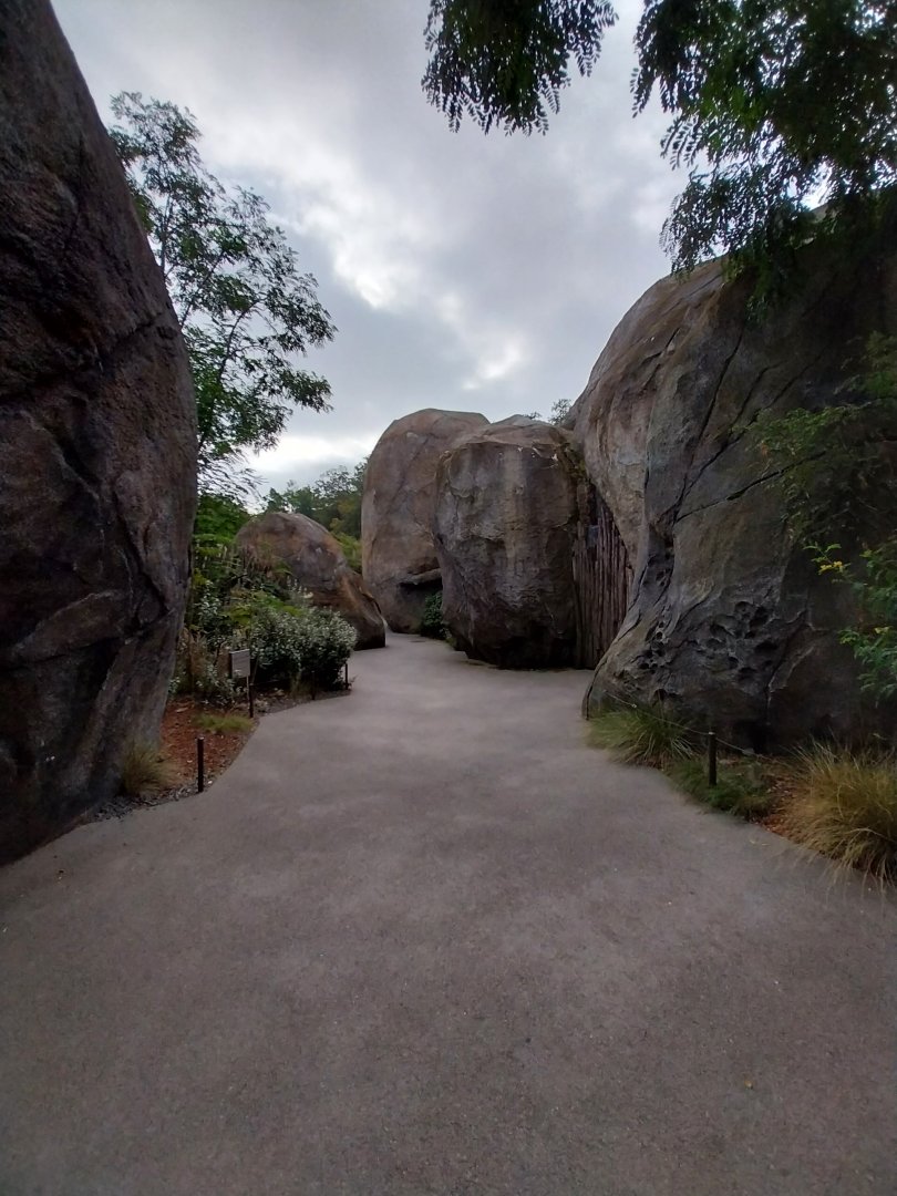 Lewa savanna - Kopje exhibit