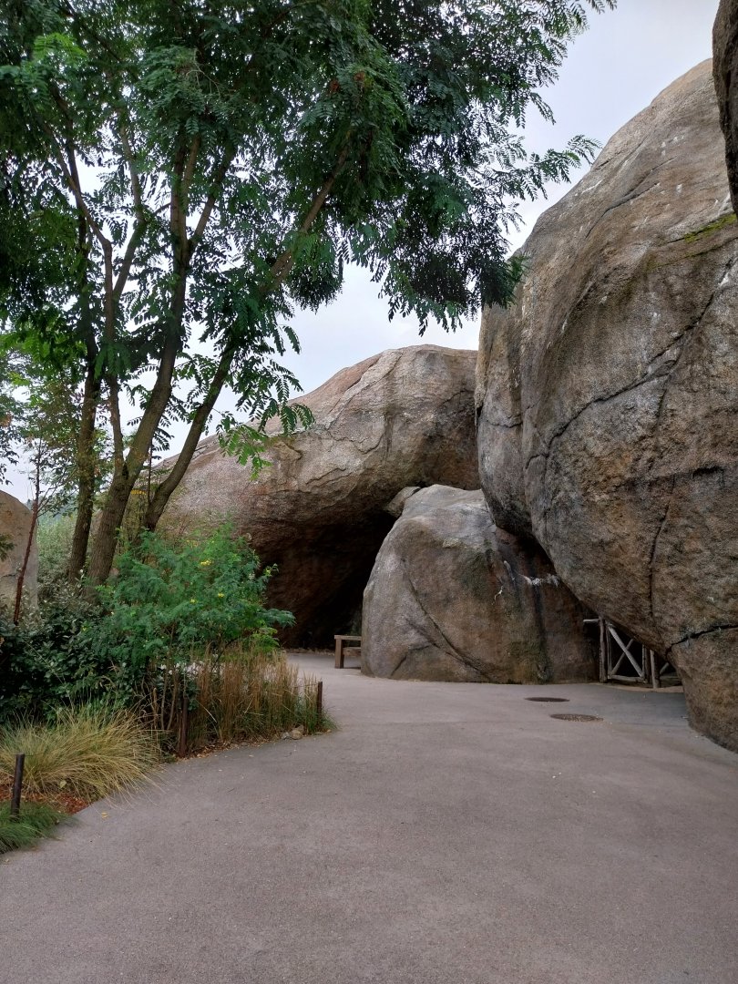 Lewa savanna - Kopje exhibit