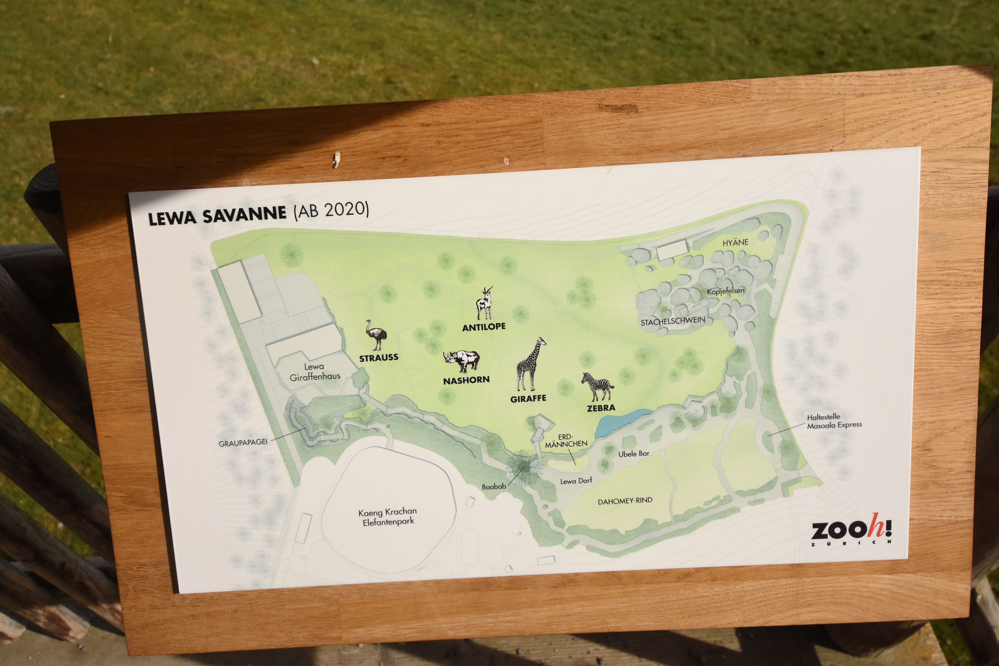 Lewa savanna - Lay-out