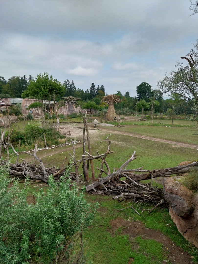 Lewa savanna - Vantage point