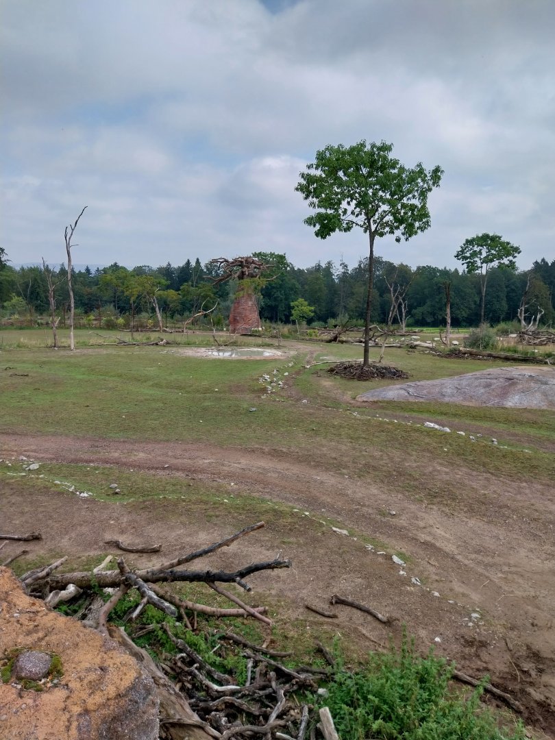 Lewa savanna - Vantage point