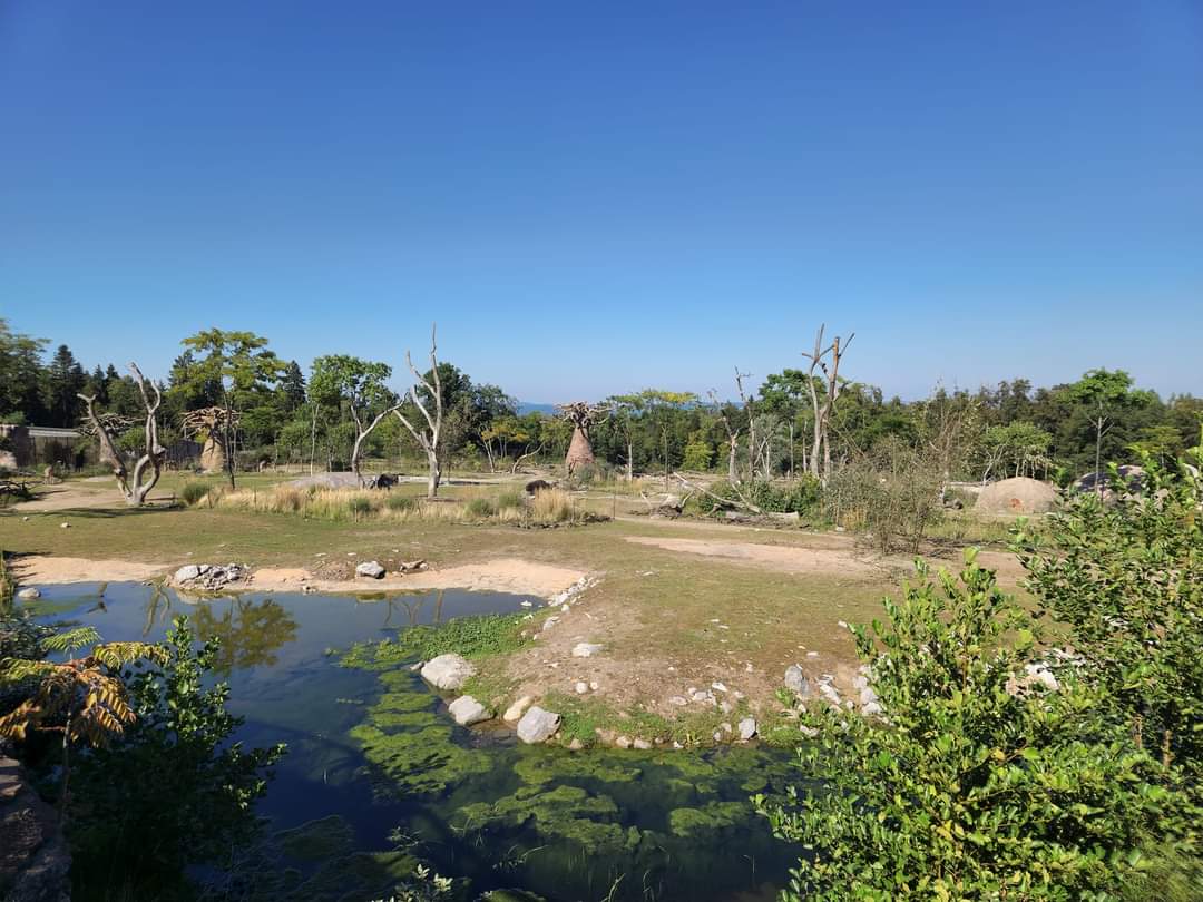 Lewa Savanna, view from the Masoala side