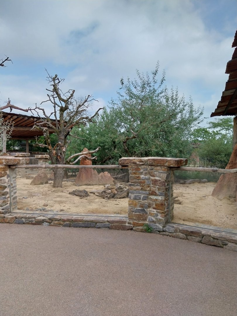 Lewa savanna - Village - Meerkat enclosure