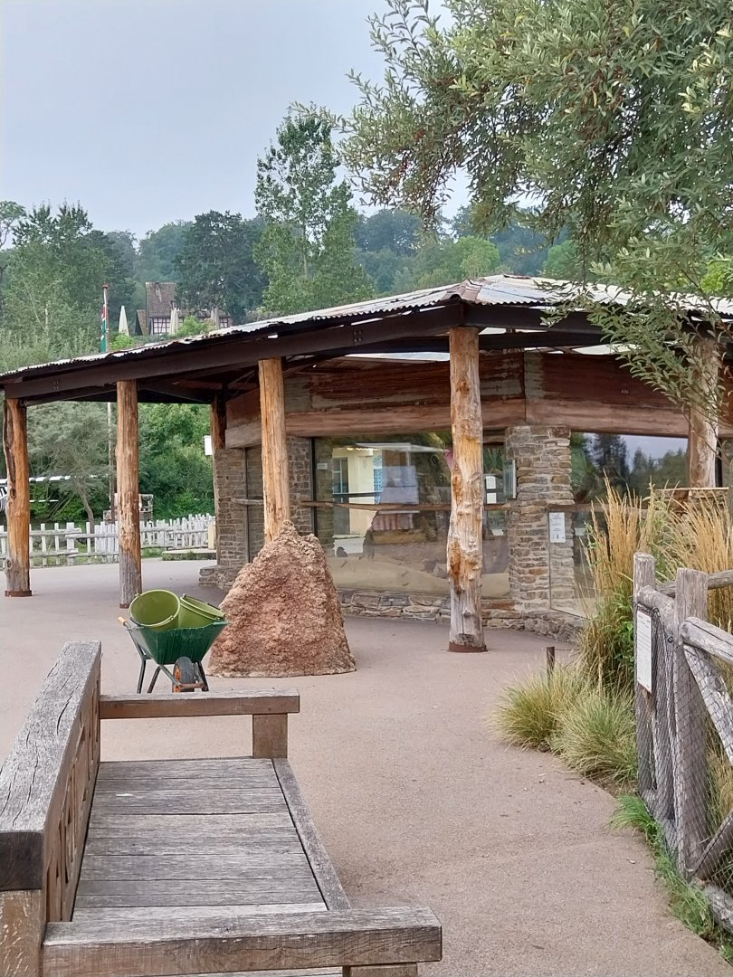 Lewa savanna - Village - Meerkat house