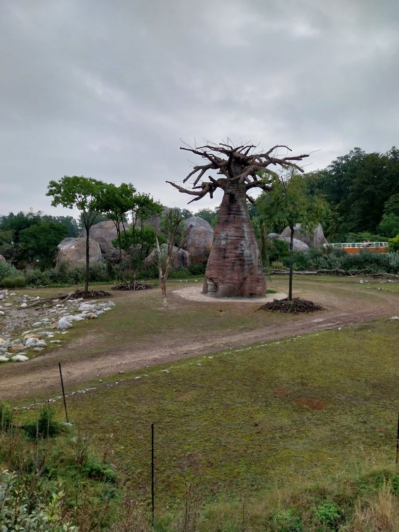 Lewa savanna - Village