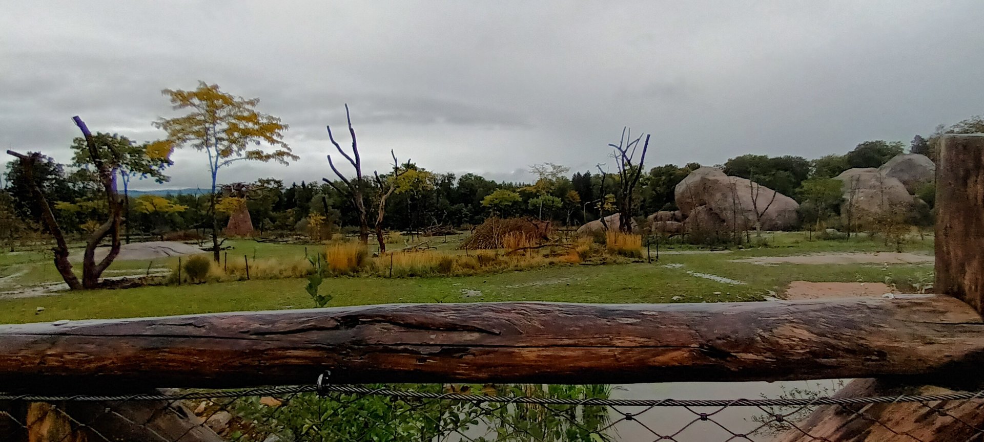 Lewa Savannah African Savannah Enclosure