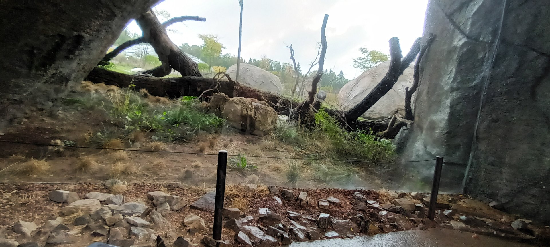 Lewa Savannah View from the Kopje