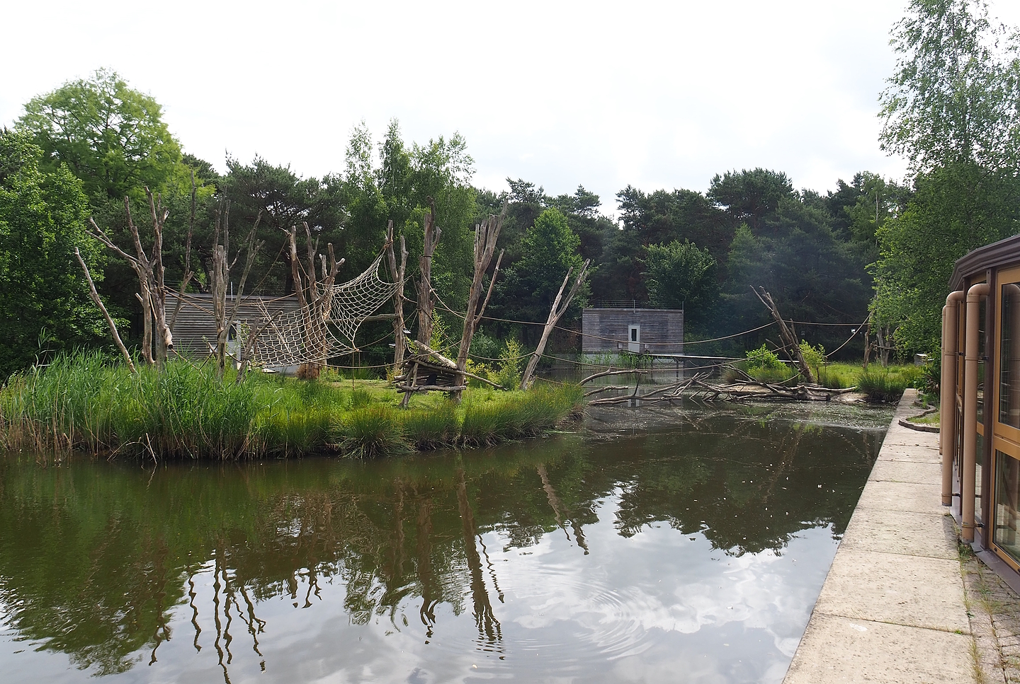 L'Hoëst's monkey islands, 2022-06-12