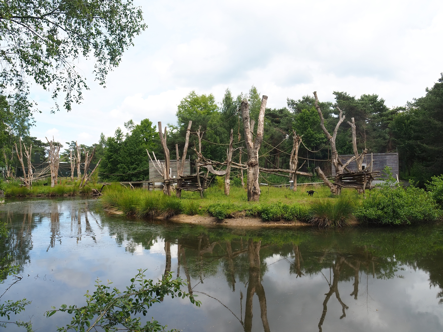 L'Hoëst's monkey islands, 2022-06-12