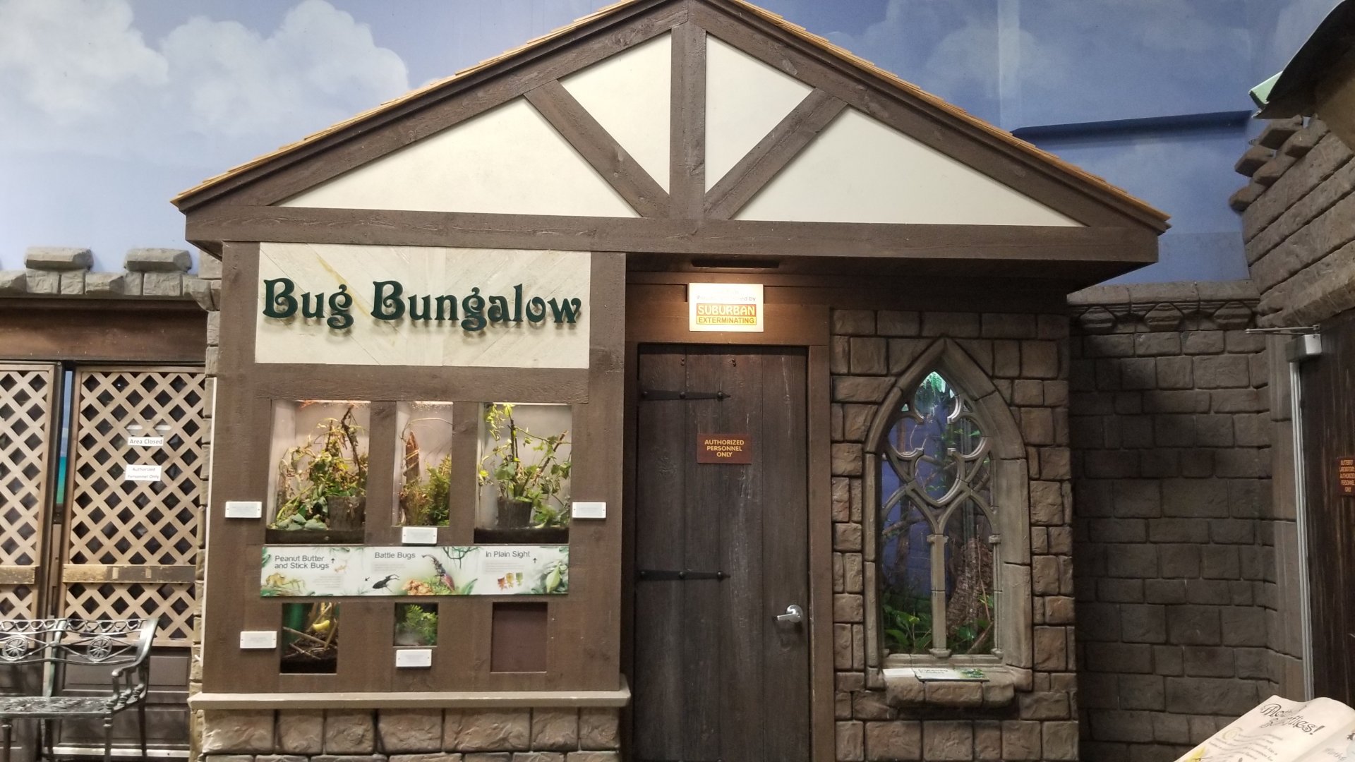 LI Aquarium, Butterfly exhibit - Bug bungalow