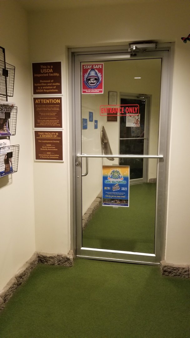 LI Aquarium, Butterfly exhibit - Entrance