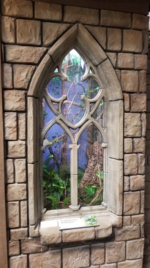 LI Aquarium, Butterfly exhibit - Golden orbweaver