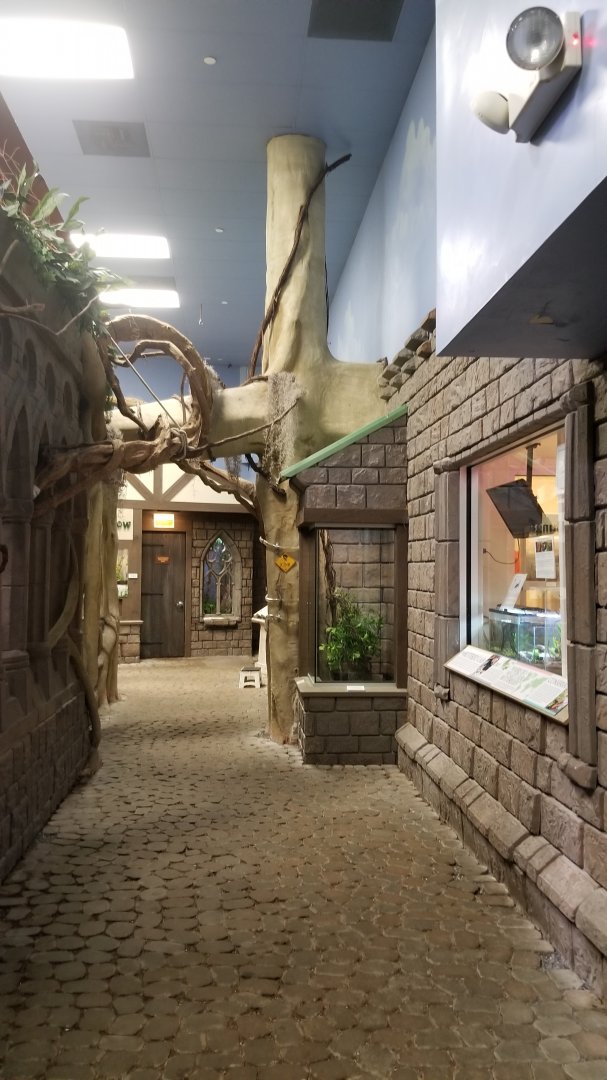 LI Aquarium, Butterfly exhibit - Inside entrance