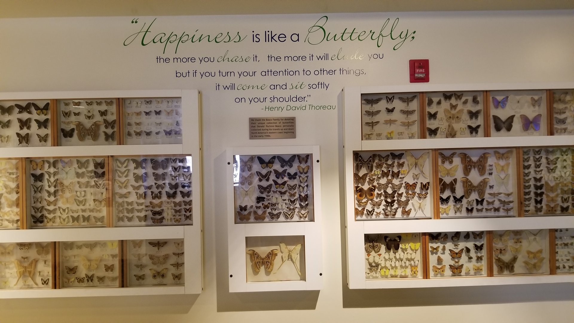 LI Aquarium, Butterfly exhibit - Outside entrance