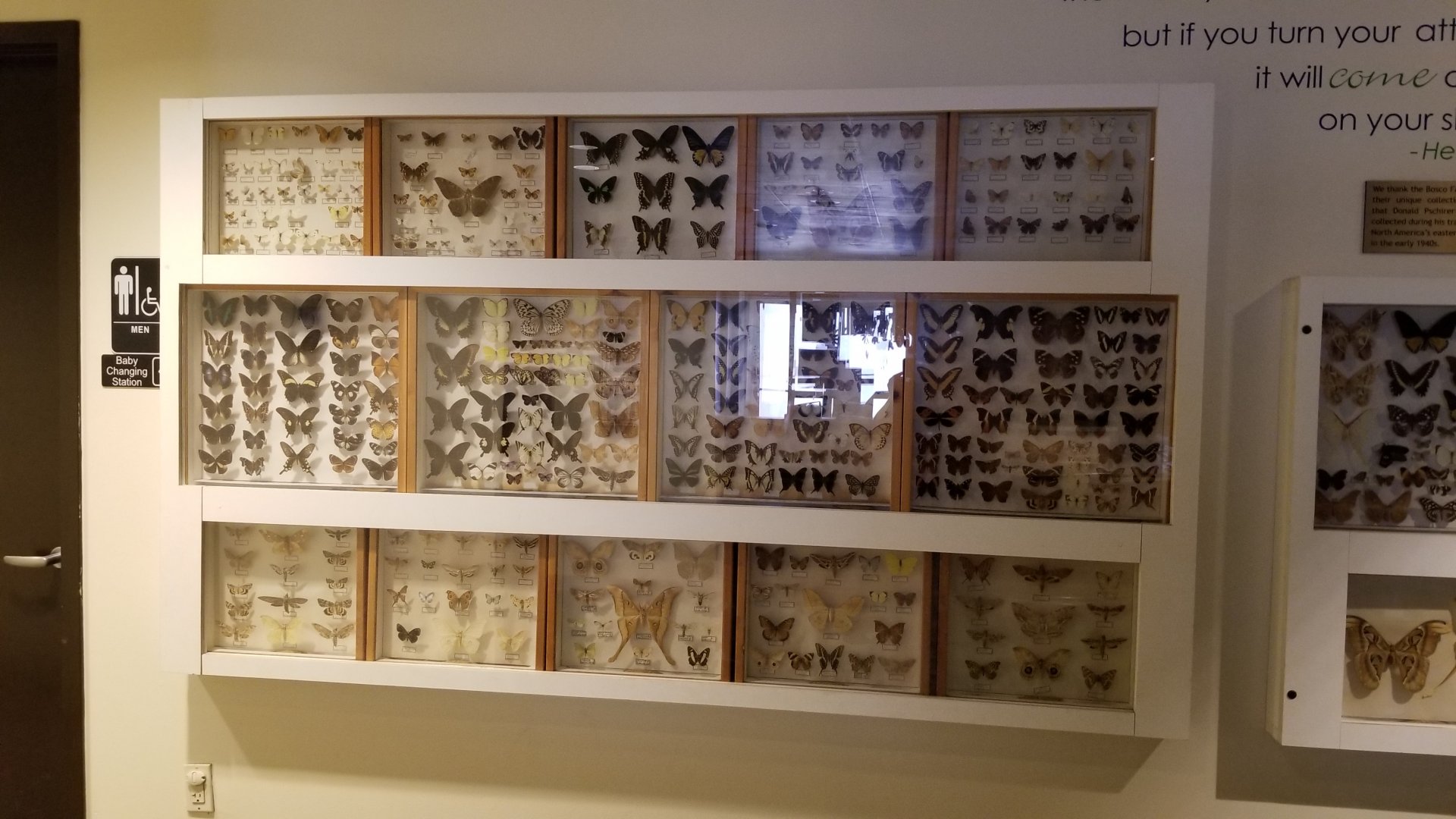 LI Aquarium, Butterfly exhibit - Outside entrance