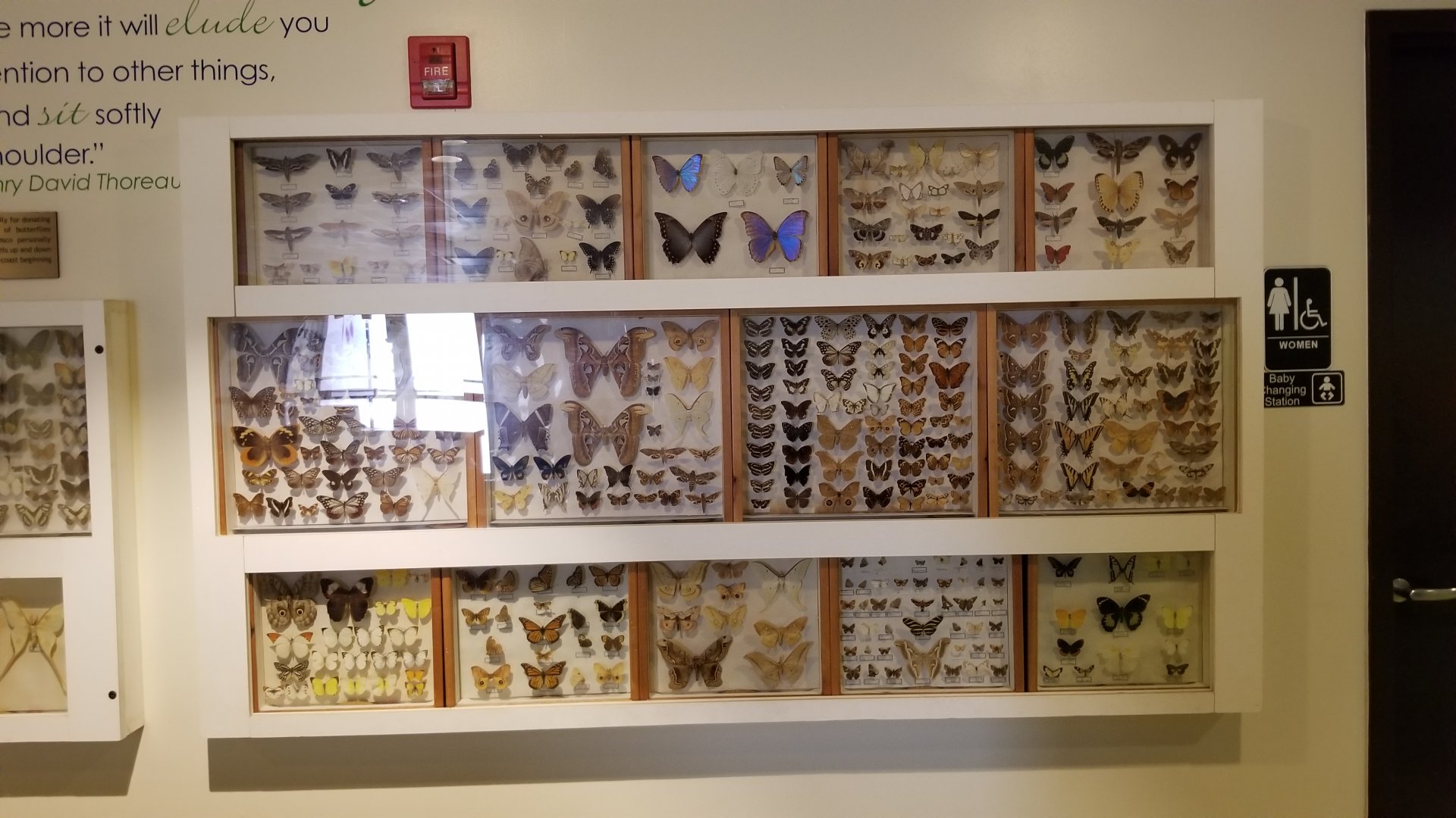 LI Aquarium, Butterfly exhibit - Outside entrance